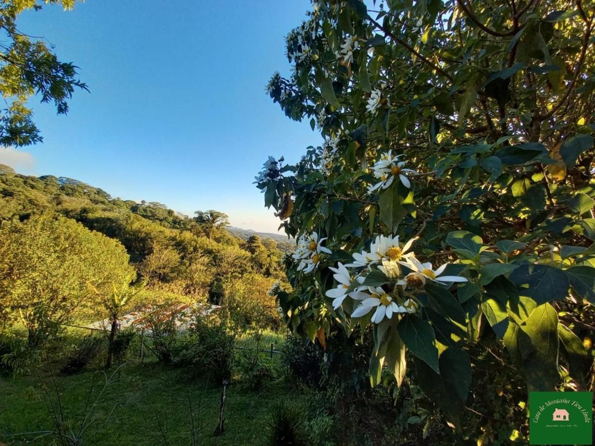 MonteverdeCasa De Montana Tica Linda别墅 外观 照片