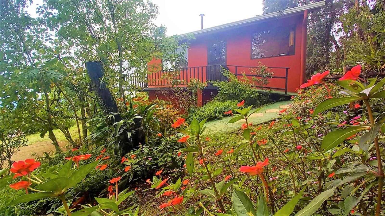 MonteverdeCasa De Montana Tica Linda别墅 外观 照片
